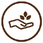 Sustainable Farming Techniques