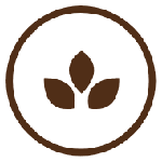 Non-GMO Produce